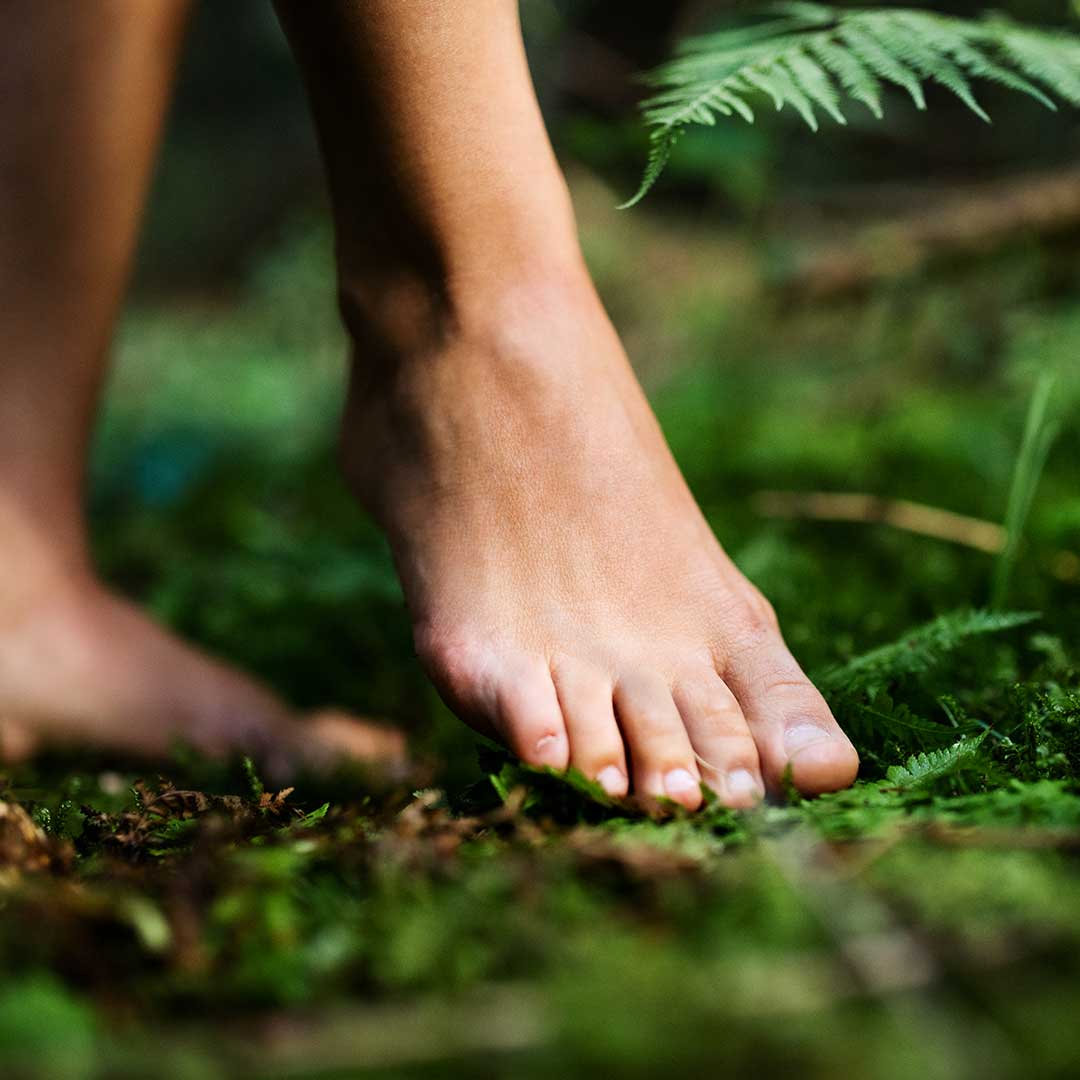 BAGNO IN FORESTA A FANANO